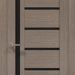 Millenium ML-16 interior door in Gray Oak with black glass insert