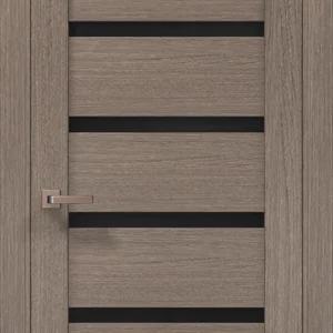 Millenium ML-59 interior door in Gray Oak with black glass inserts