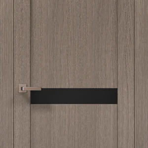 Millenium ML-63 interior door in Gray Oak with black glass insert