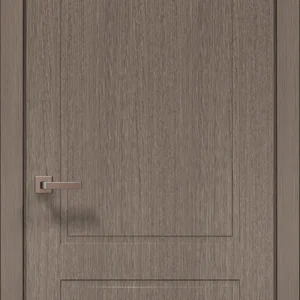 Style ST-22 interior door in brushed dark oak with two recessed panels